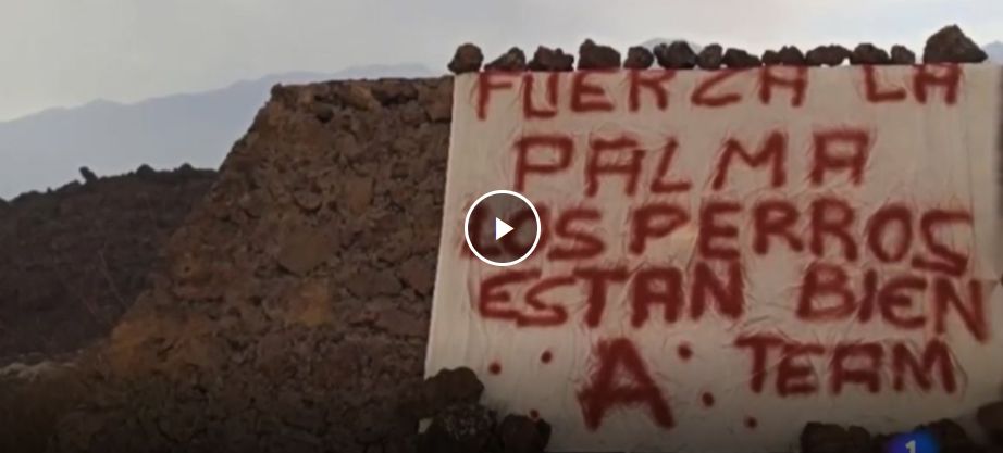 Han sido rescatados los perros atrapados en estanque de La Palma