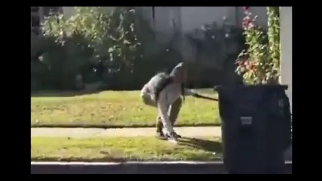 Por cosas como esta no nos visitan los extraterrestres