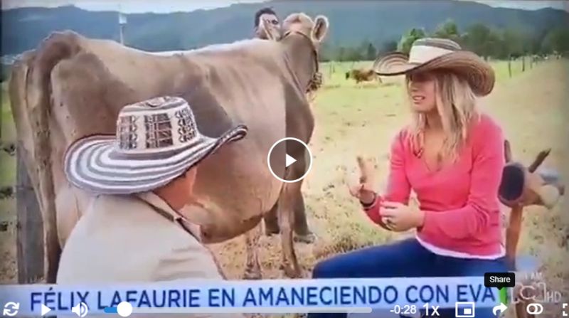 Periodista probando por primera vez la leche de vaca